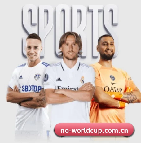 世界杯 APP 深度功能